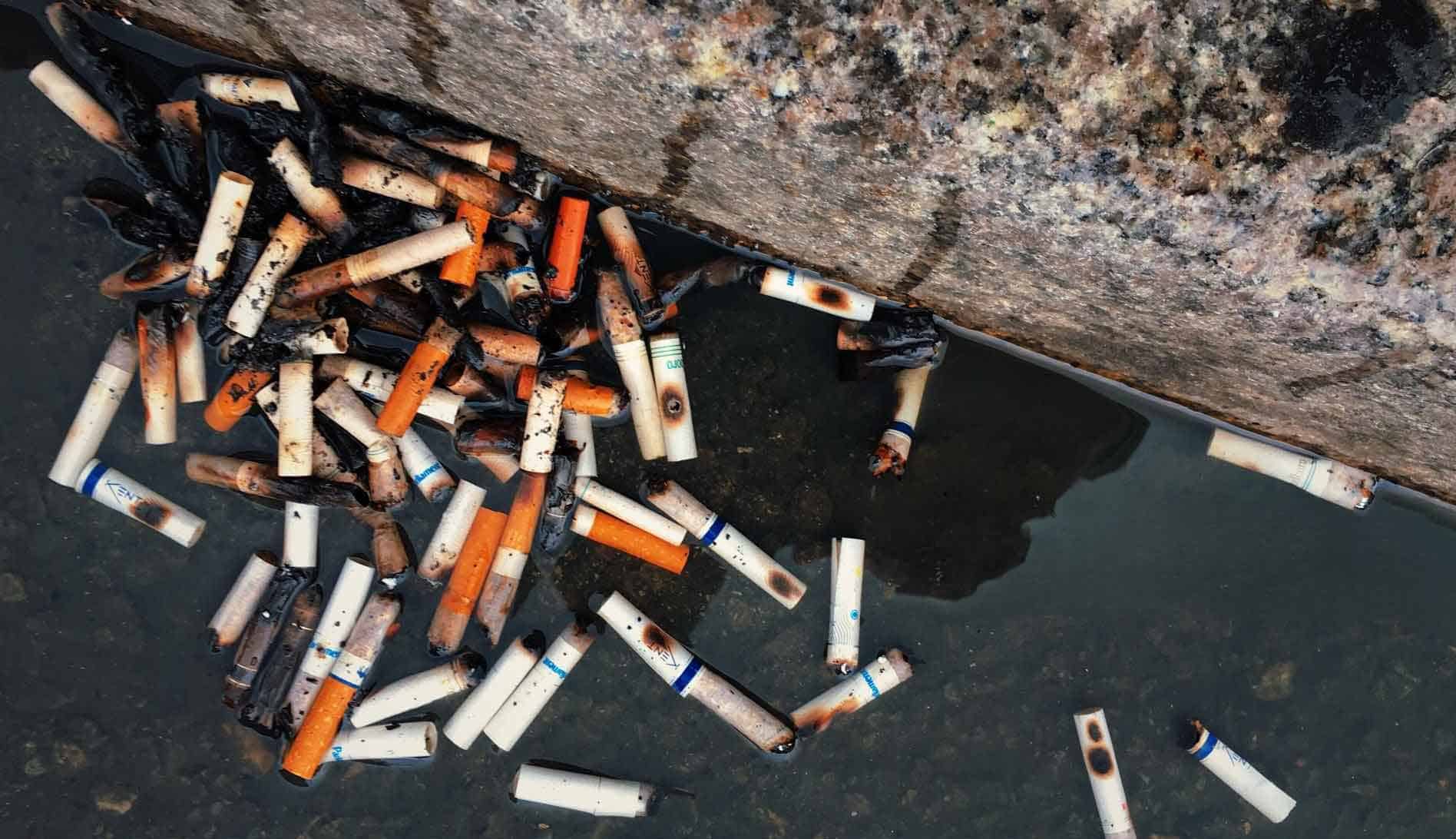 cigarro en el medioambiente